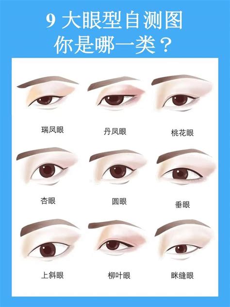 丹鳳眼面相|丹鳳眼是什麼樣的 丹鳳眼面相分析